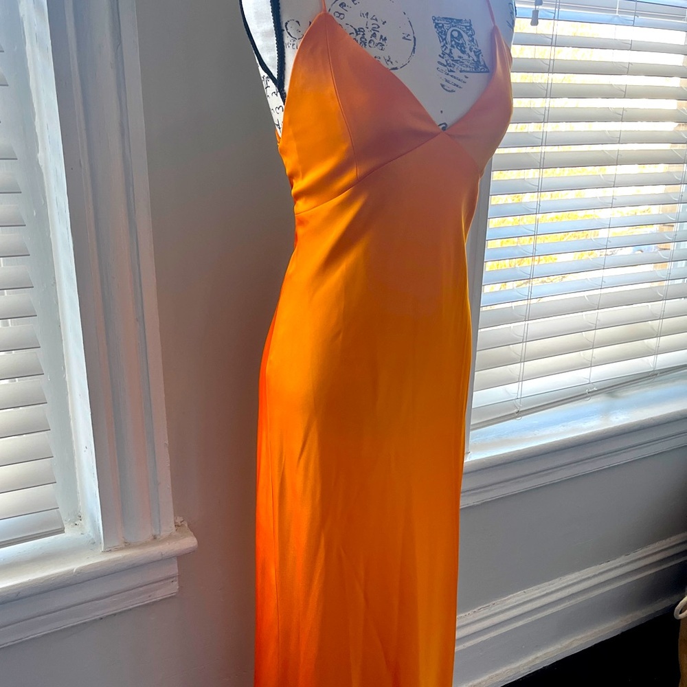 Alice + Olivia Evening Gown